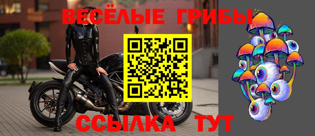Галлюциногенные грибы MAGIC MUSHROOMS Медногорск