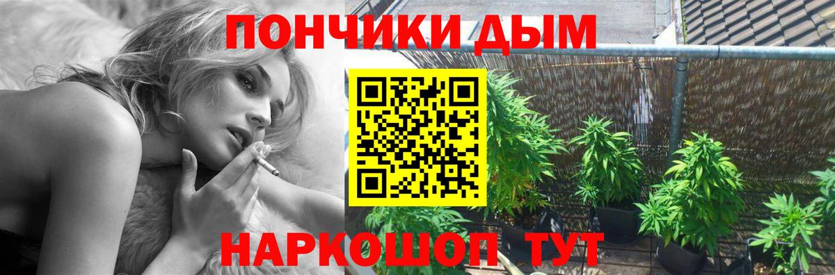 Шишки марихуана индика  МАРИХУАНА план  Вход с VPN  Медногорск  МАРИХУАНА марихуана 